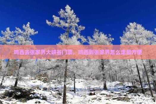鸡西去张家界大峡谷门票