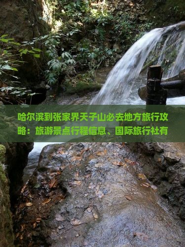 哈尔滨到张家界天子山必去地