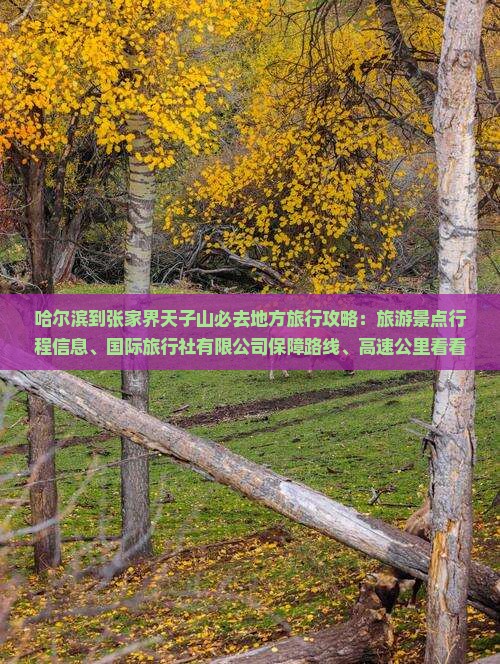哈尔滨到张家界天子山必去地