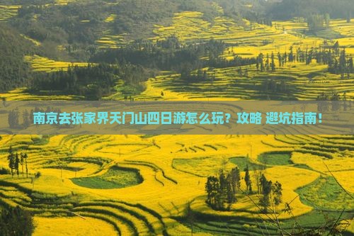 南京去张家界天门山四日游