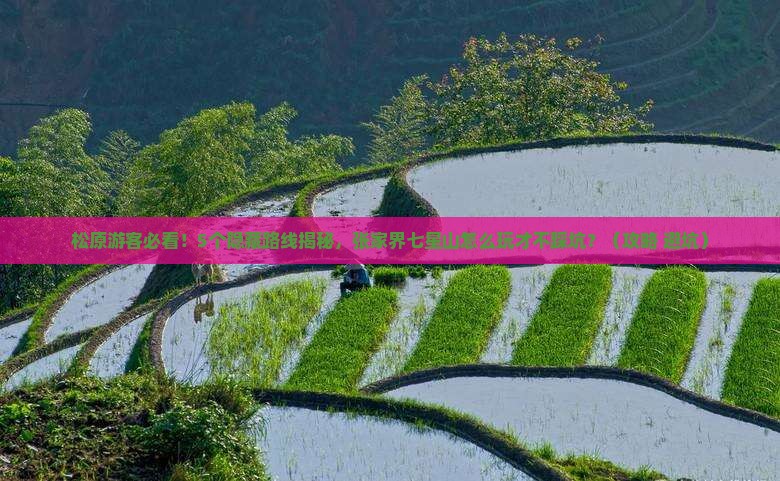 松原到张家界七星山旅行社