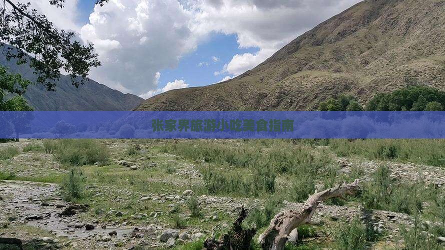 拉萨去张家界旅游小吃