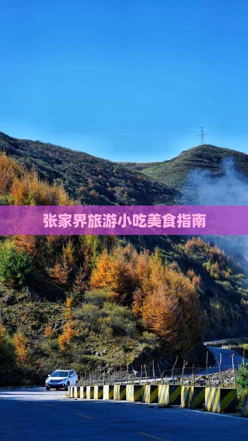 拉萨去张家界旅游小吃