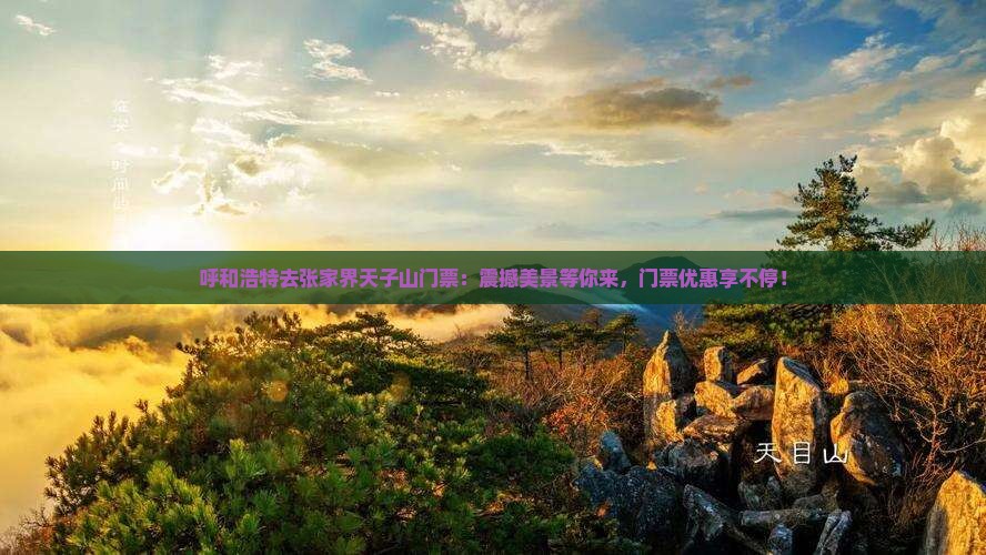 呼和浩特去张家界天子山门票