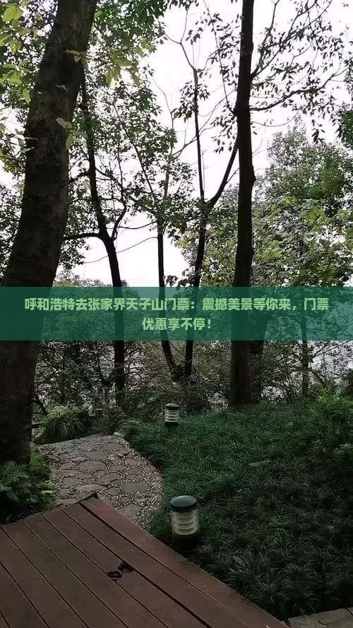 呼和浩特去张家界天子山门票