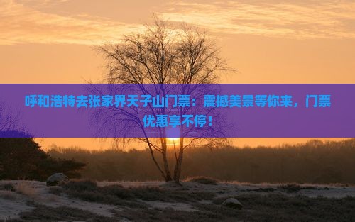 呼和浩特去张家界天子山门票