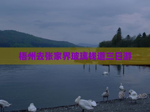 梧州去张家界玻璃栈道三日游