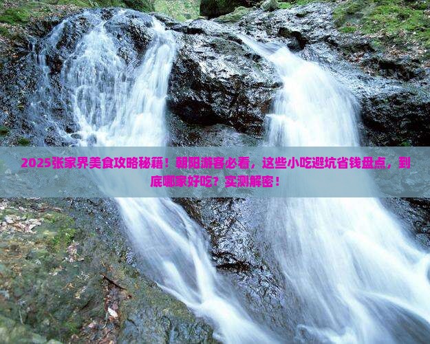 朝阳去张家界旅游小吃
