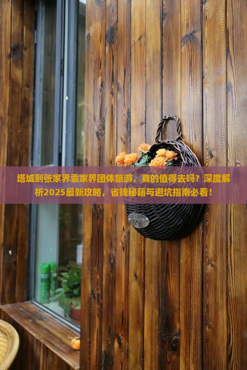 塔城到张家界袁家界团体旅游