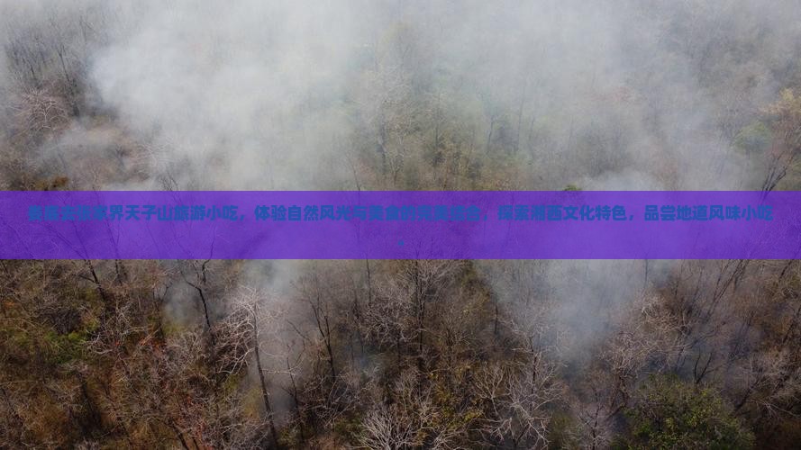 娄底去张家界天子山旅游小吃