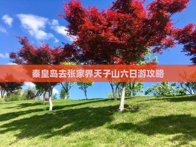 秦皇岛去张家界天子山六日游