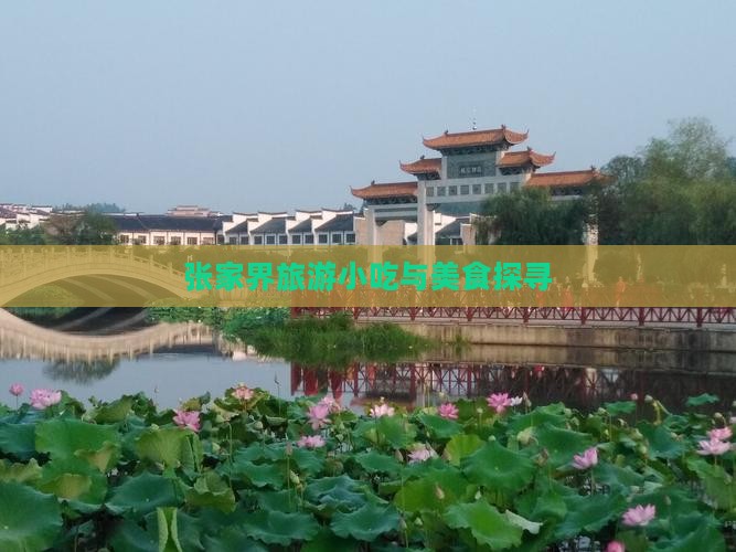乌海到张家界袁家界旅游小吃
