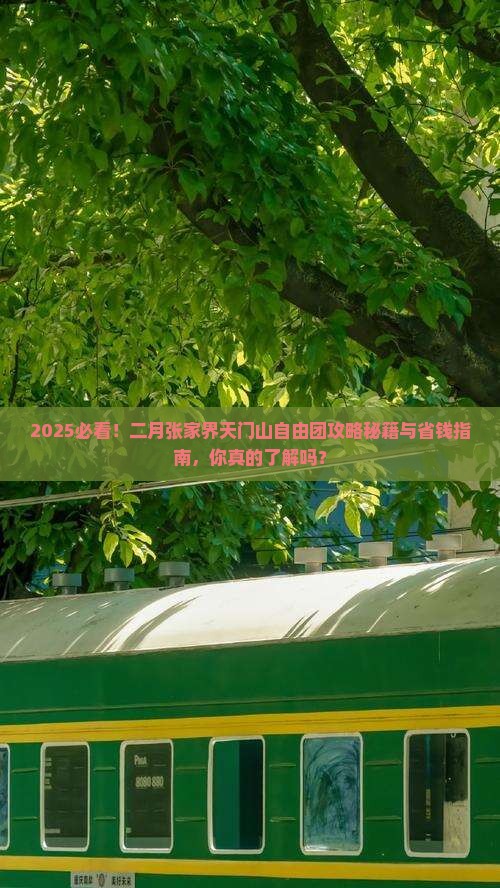 二月到张家界天门山自由团