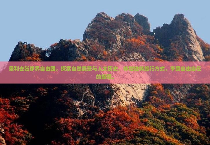 垦利去张家界自由团