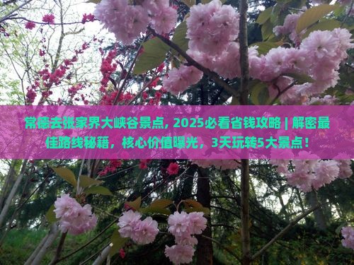 常德去张家界大峡谷景点