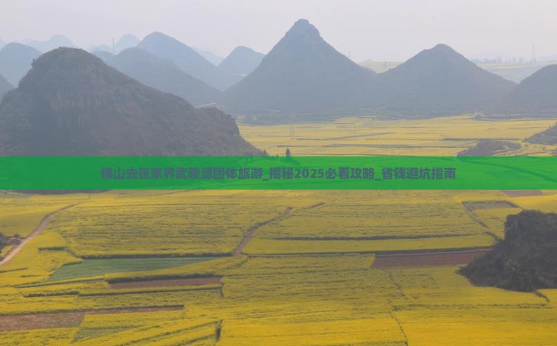 佛山去张家界武陵源团体旅游