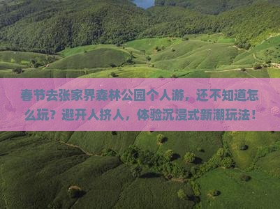 春节去张家界森林公园个人游