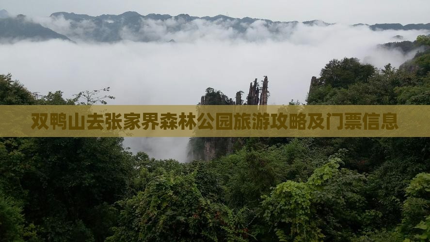 双鸭山去张家界森林公园门票