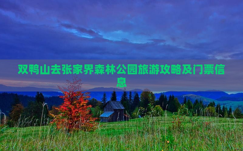 双鸭山去张家界森林公园门票