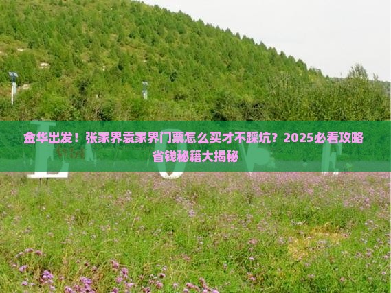 金华到张家界袁家界门票