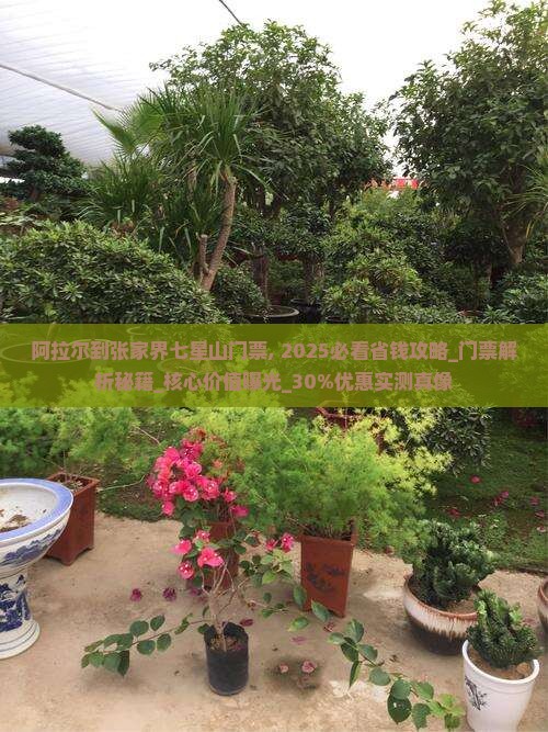 阿拉尔到张家界七星山门票