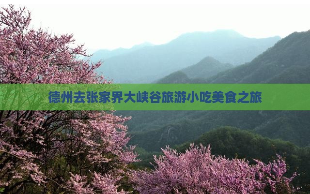 德州去张家界大峡谷旅游小吃