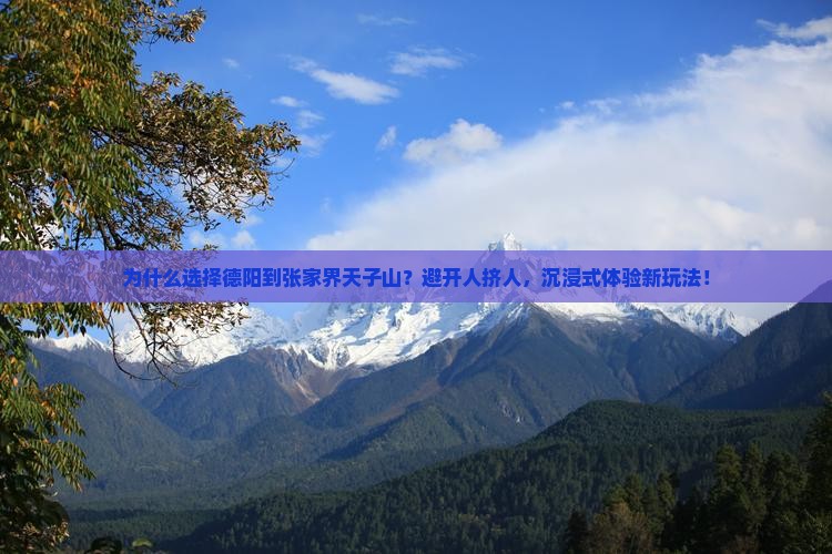 德阳到张家界天子山景点