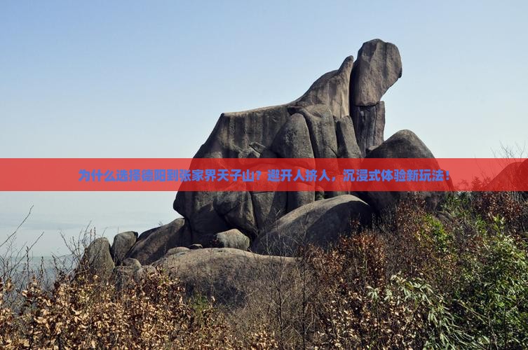 德阳到张家界天子山景点