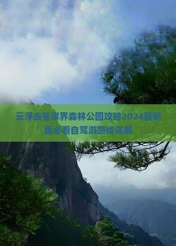 云浮去张家界森林公园攻略