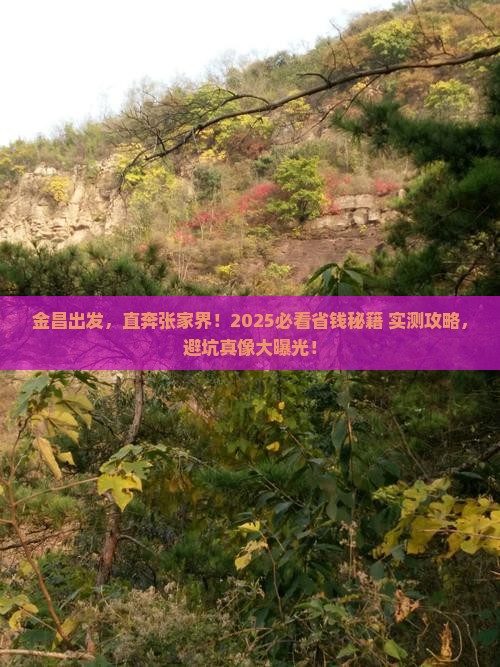 金昌到张家界旅游