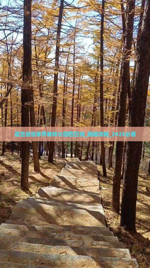 昌吉去张家界森林公园四日游