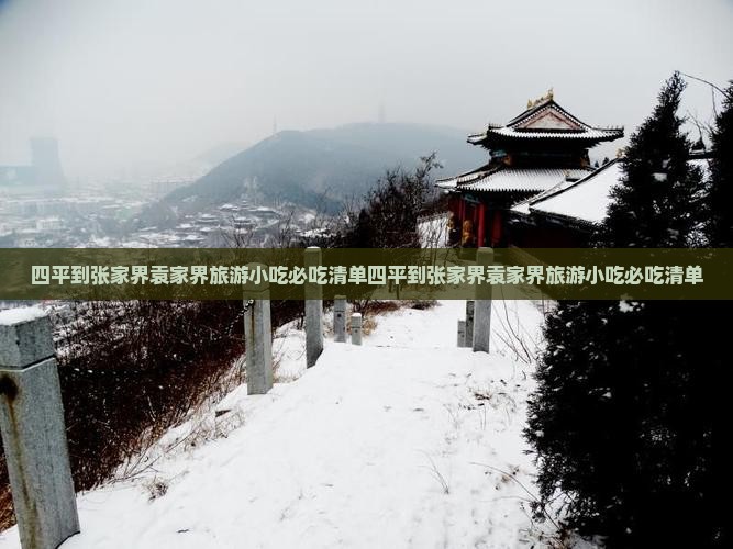 四平到张家界袁家界旅游小吃