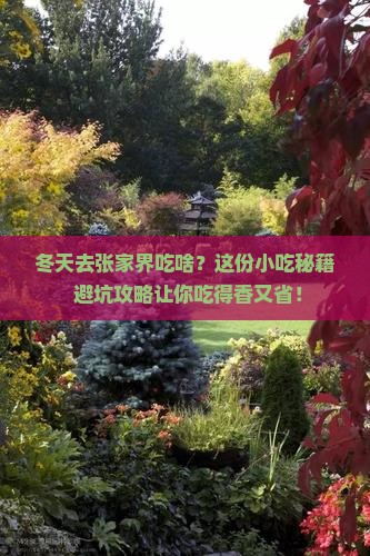 冬天到张家界旅游小吃