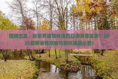 醴陵去张家界玻璃栈道四日游