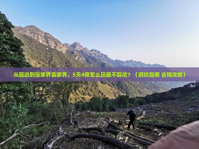 延边到张家界袁家界大型旅游团