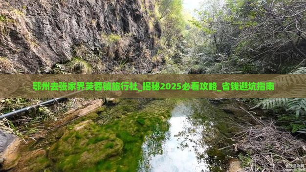 鄂州去张家界芙蓉镇旅行社