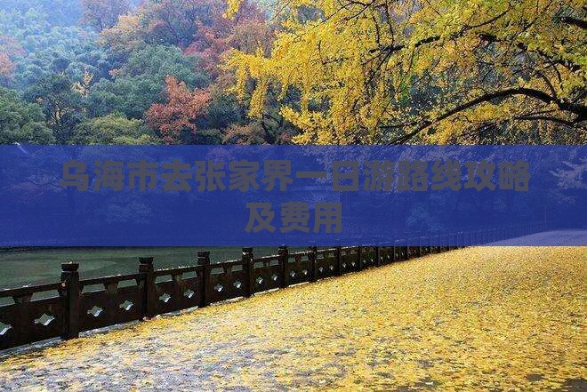 乌海市去张家界一日