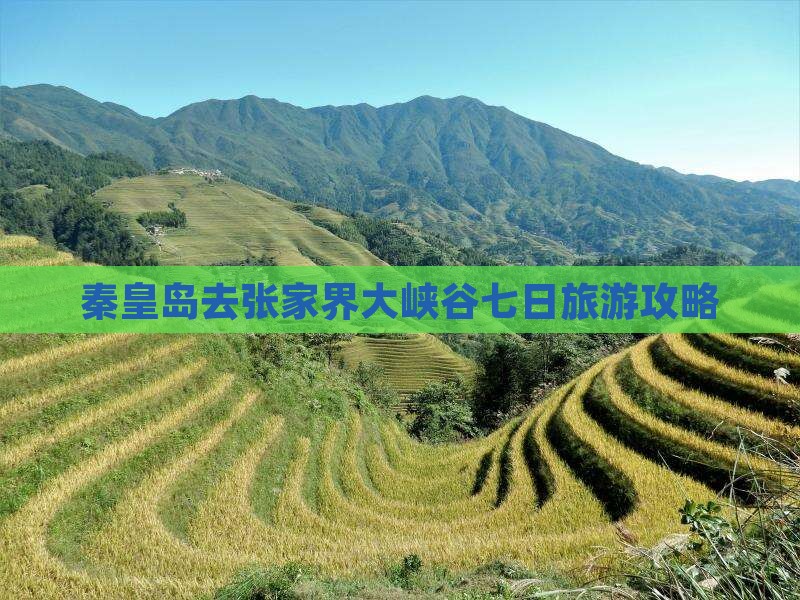 秦皇岛去张家界大峡谷七日游