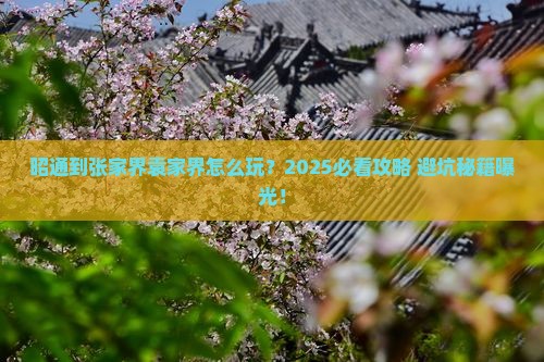 昭通到张家界袁家界旅行社
