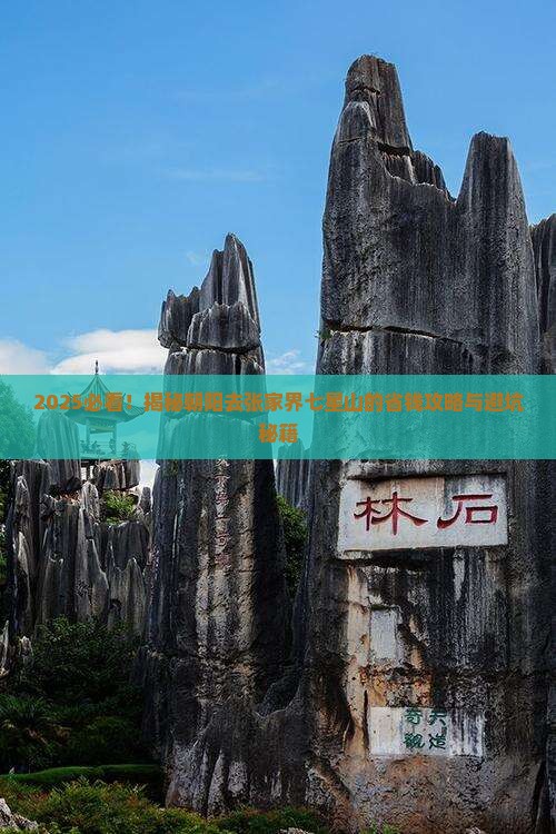 朝阳去张家界七星山旅行社