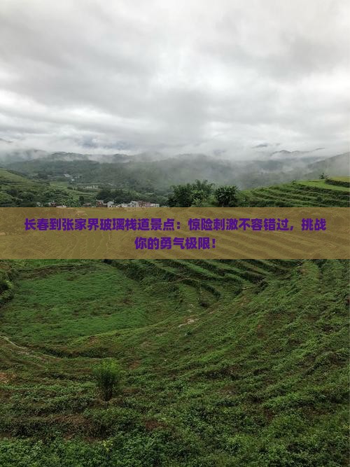 长春到张家界玻璃栈道景点