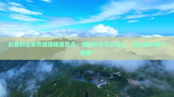 长春到张家界玻璃栈道景点