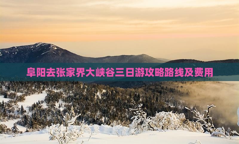 阜阳去张家界大峡谷三日游