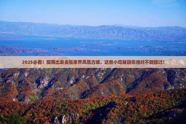 陇南去张家界凤凰古城旅游小吃