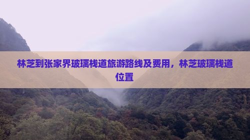 林芝到张家界玻璃栈道旅游