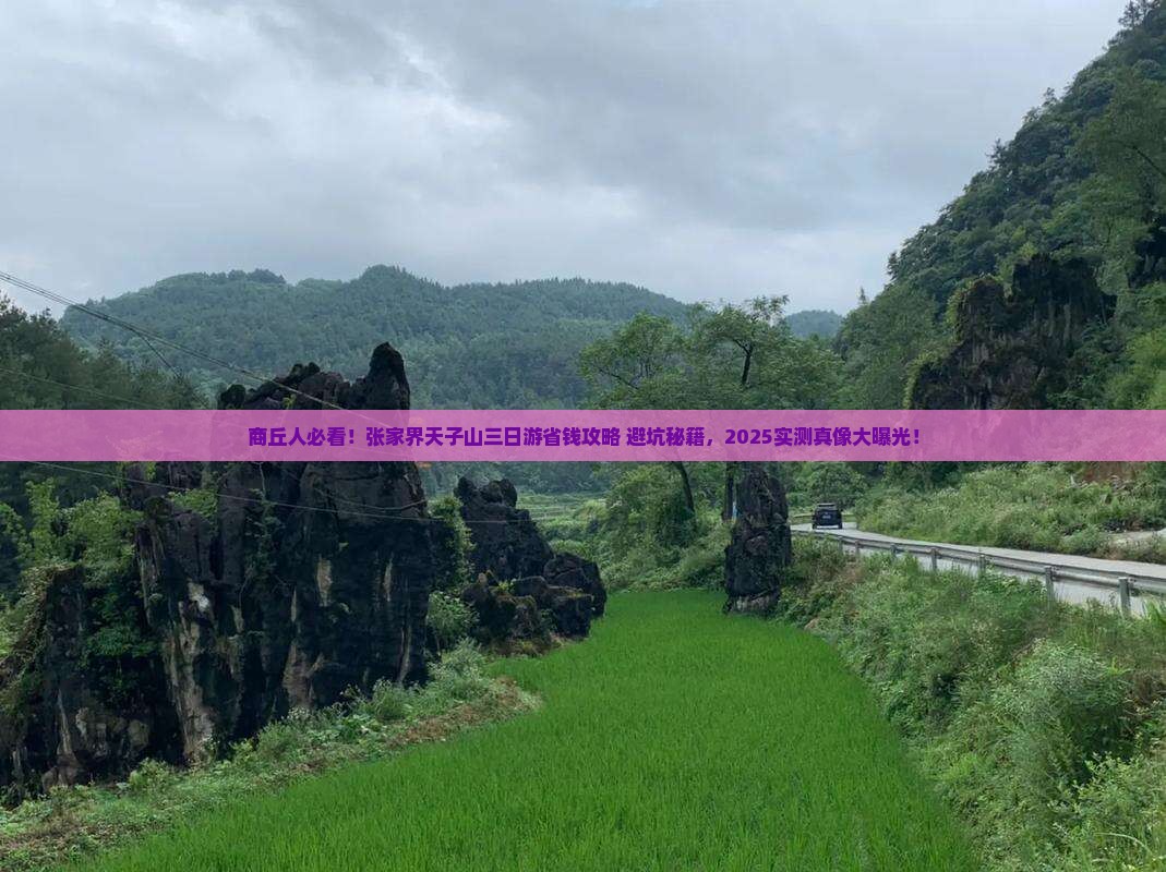 商丘去张家界天子山三日游