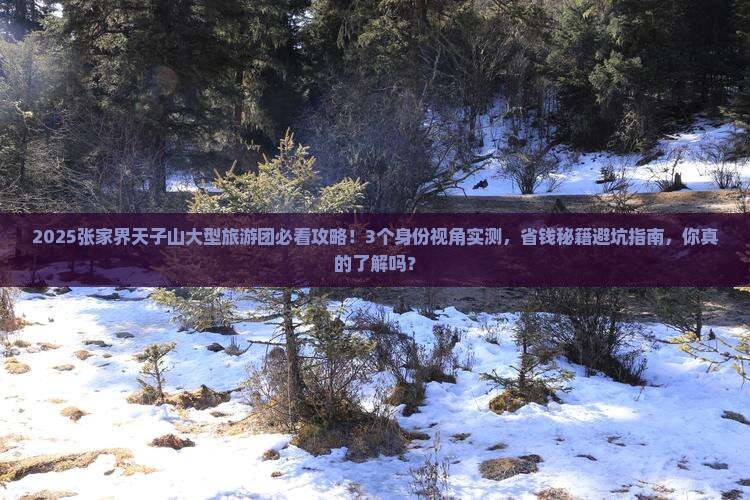 张家界去张家界天子山大型旅游团