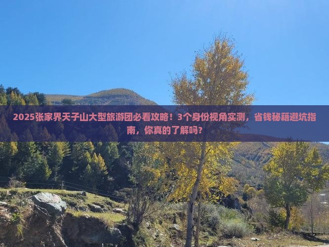 张家界去张家界天子山大型旅游团