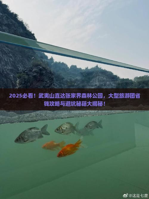 武夷山去张家界森林公园大型旅游团