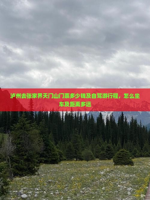 泸州去张家界天门山门票